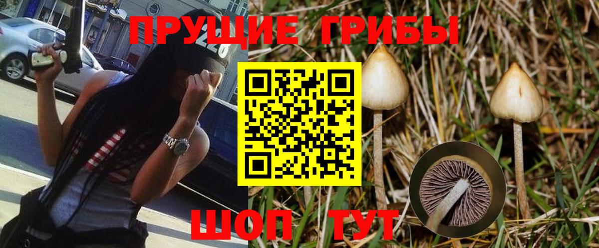 Галлюциногенные грибы Cubensis Чернушка