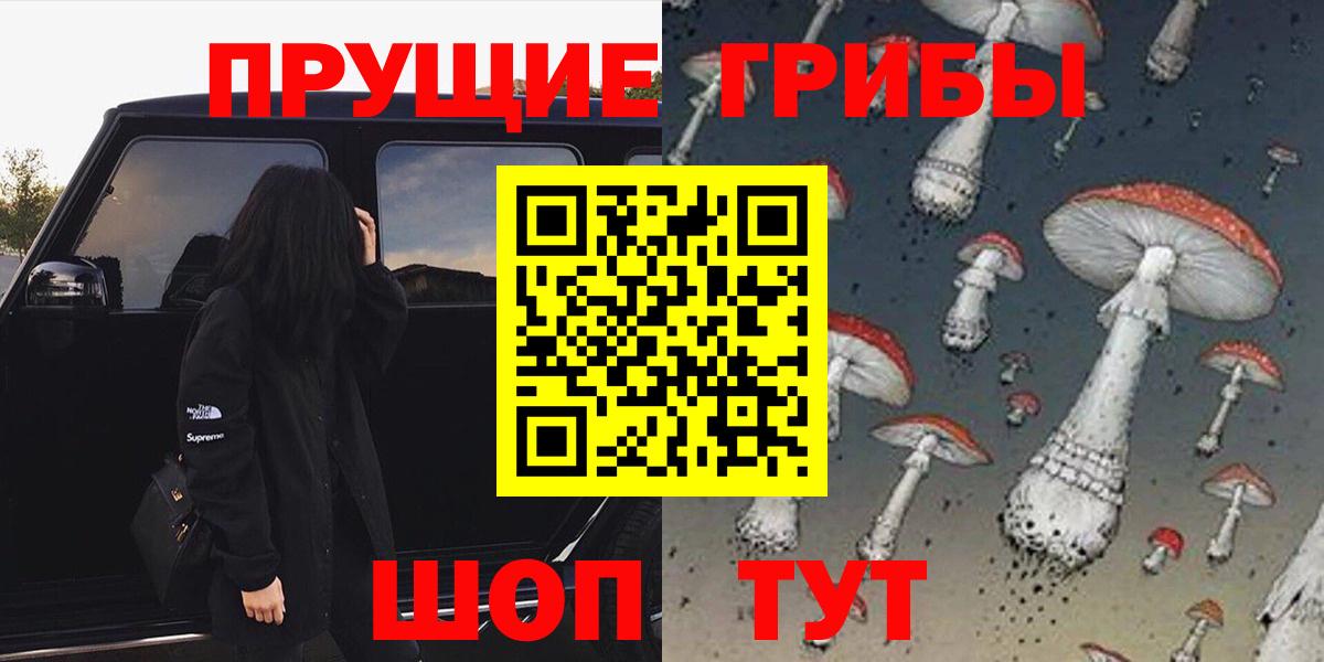 Галлюциногенные грибы Psilocybe  Псилоцибиновые грибы MAGIC MUSHROOMS  Вход с VPN  Чернушка 